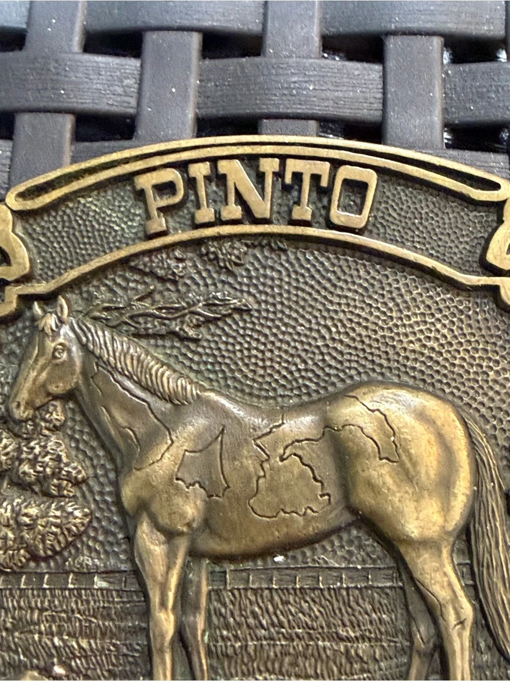 Vintage Award Design Medals Pinto Horse Solid Brass Belt Buckle First Edition